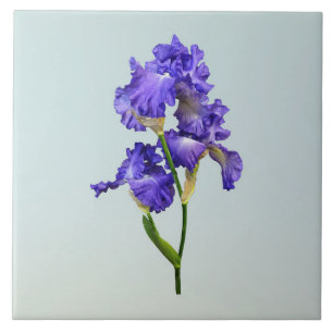 Carreau Iris triple violet