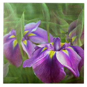 Carreau Irises pourpres en mouvement