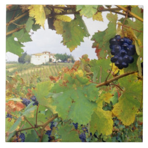 Carreau Italie, Toscane Ferme vue par