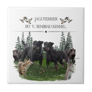 Carreau Jagdterrier Bo c. Renbrad Kennel. Ordinateur porta