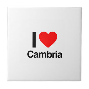 Carreau j'aime cambria