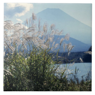 Carreau Japon, Honshu, Yamanashi Pref, Fuji-Hakone-Izu