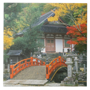 Carreau Japon, Nara, temple Ryuzenji