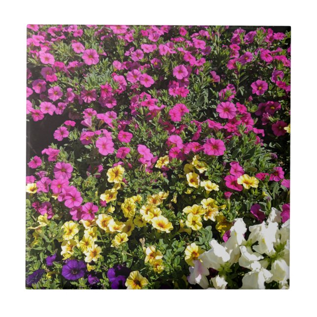 Carreau Jardin aux fleurs (Devant)