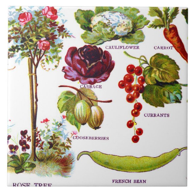 Carreau Jardin Botanicals d'été (Devant)