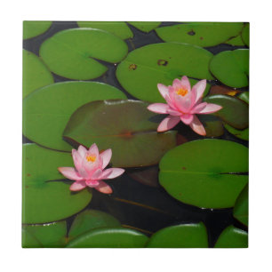 Carreau Jardin d'agrément rose de nénuphar de lotus,