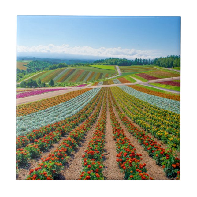 Carreau Jardin d'agrément | Shikisai aucune ferme de fleur (Devant)
