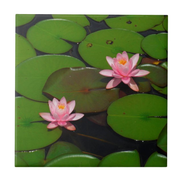 Carreau Jardin de fleurs de laine d'eau de lotus rose, (Devant)