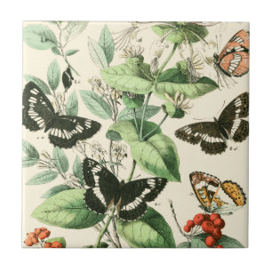 Carreau Jardin des papillons et des fleurs