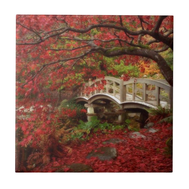 Carreau Jardin japonais (Devant)