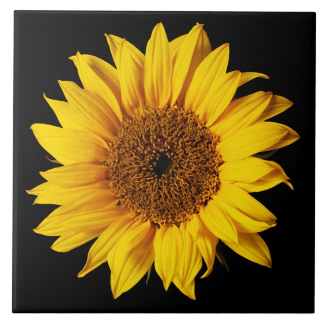 Carreau Jaune de tournesol sur le noir - fleurs (Devant)