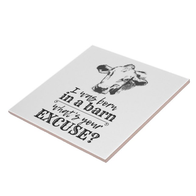 Carreau Je suis né dans une grange quelle est votre excuse (Côté)