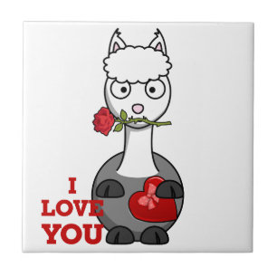 Carreau je t'aime alpaca
