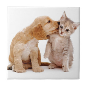 Carreau Je t'aime !  Les baisers de chiot ont étonné le