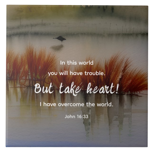 Carreau Jean 16:33 J'ai surmonté la Bible Verse Christian (Devant)