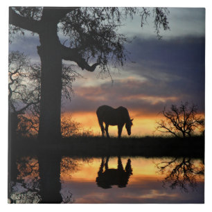 Carreau Joli cheval et coucher de soleil avec chêne et eau