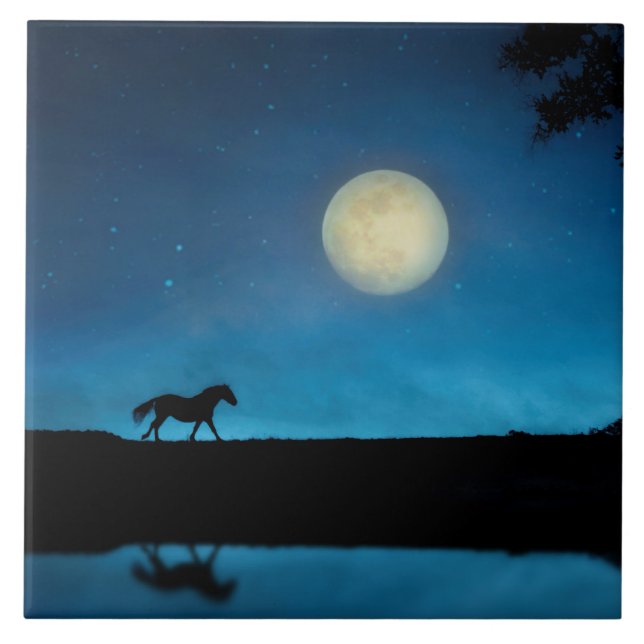 Carreau Joli cheval et lune avec ciel bleu (Devant)