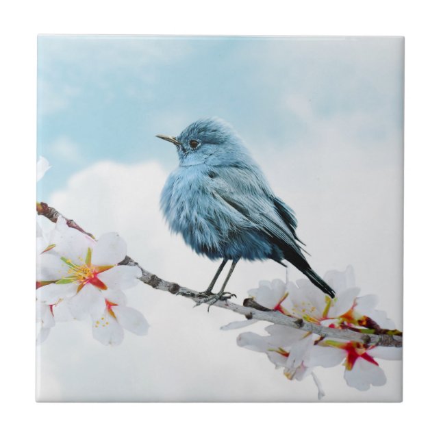 Carreau Joli petit oiseau bleu (Devant)