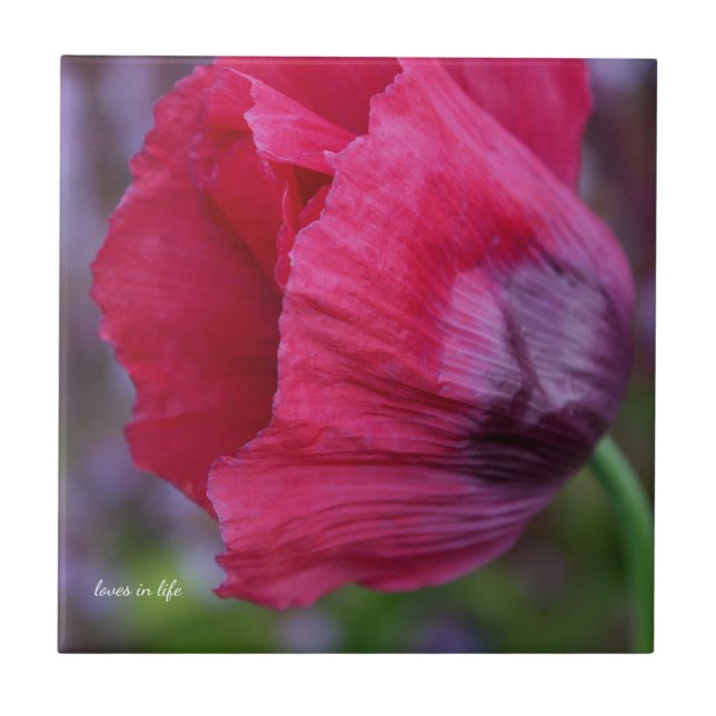 Carreau Joli Poppy rose et violet (Devant)
