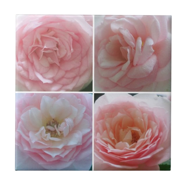 Carreau Joli Rose (Devant)