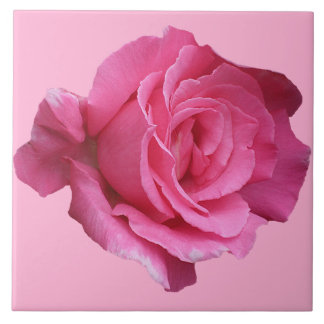 Carreau Joli rose rose floral simple beau art