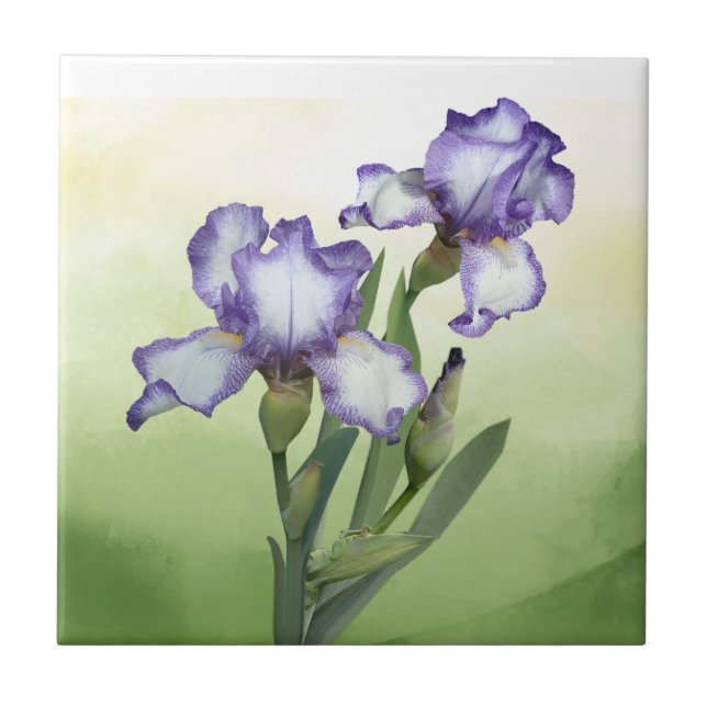 Carreau Joli violet blanc Iris Garden Flower Art (Devant)