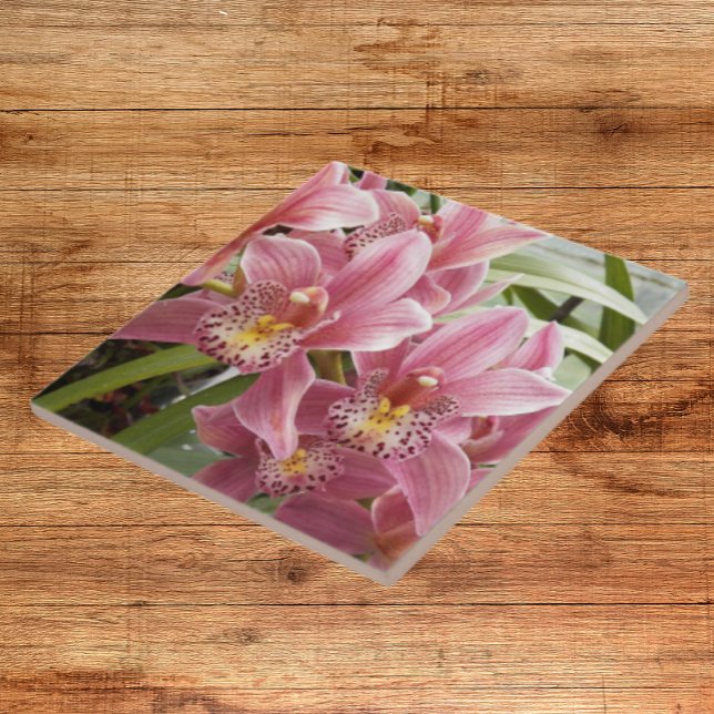 Carreau Jolie Orchidées rose Cymbidium Floral (In Situ)