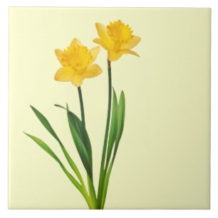 Carreau Jonquilles jaunes de ressort - modèle de jonquille