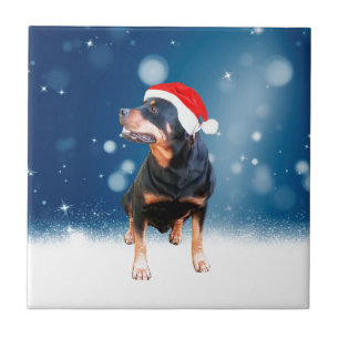 Carreau Jote Rottweiler Chien Noël Santa Hat Étoiles de ne
