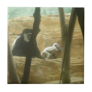 Carreau Jouer au singe