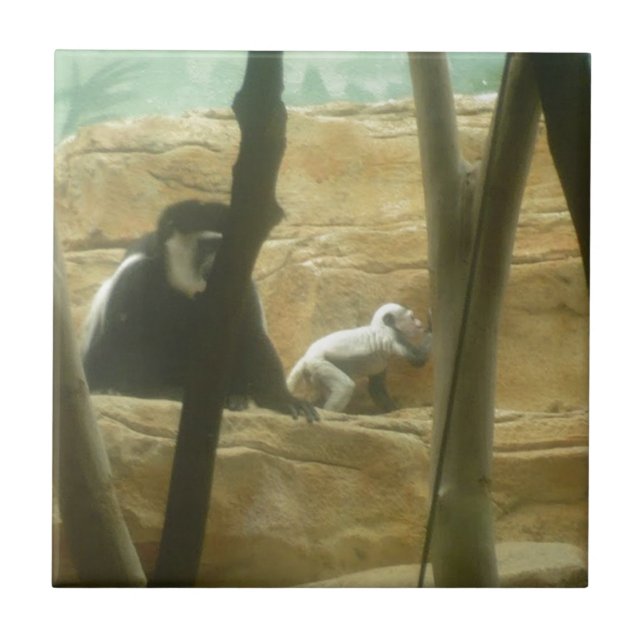 Carreau Jouer au singe (Devant)