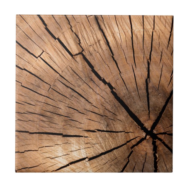 Carreau Journal en bois fissuré (Devant)