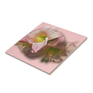 Carreau Jours roses