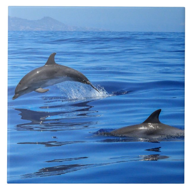 Carreau Joyeux dauphins (Devant)
