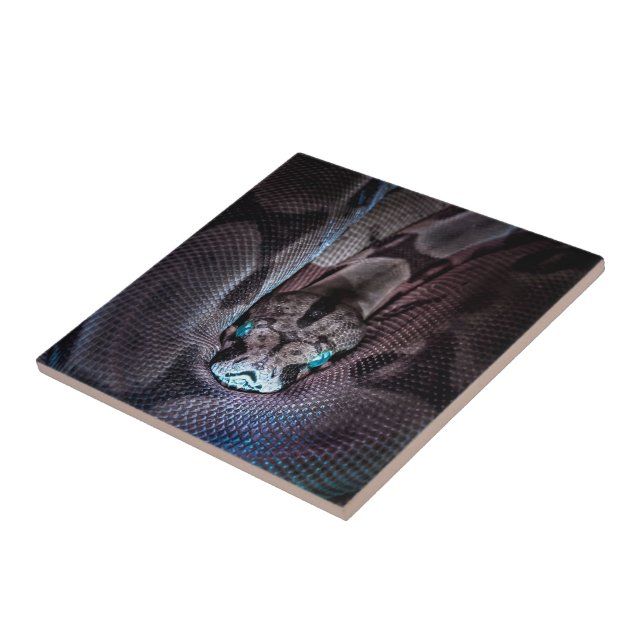 Carreau Joyeux serpent d'anniversaire (Côté)