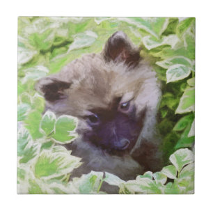 Carreau Keeshond Puppy in the Garden Peinture Art original