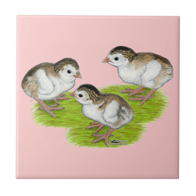 Carreau Keets de Guinée violets (Devant)