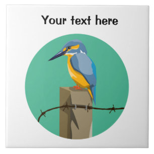 Carreau Kingfisher Bird