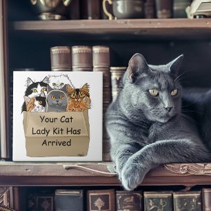 Carreau Kit de démarrage de Dame aux chats