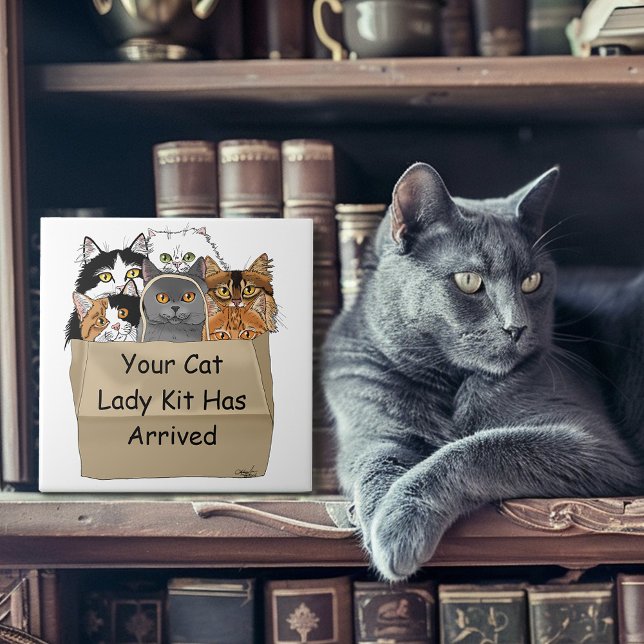 Carreau Kit d'entrée Lady Cat (Créateur téléchargé)