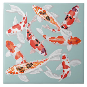 Carreau Koi