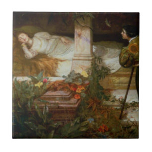Carreau La Belle au Bois Dormant (Douce Princesse du Conte