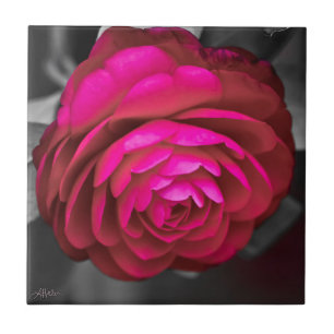 Carreau La Camellia Rosy