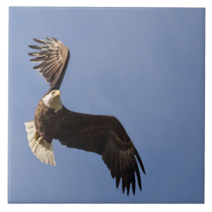 Carreau La Cartographie Du Ciel