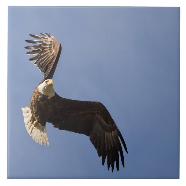 Carreau La Cartographie Du Ciel (Devant)