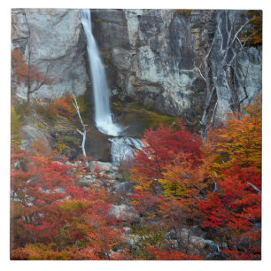 Carreau La cascade d'El Chorrillo   Patagonie, Argentine