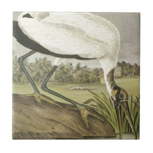 Carreau La cigogne en bois d'Audubons