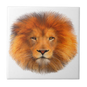 Carreau La crinière du lion
