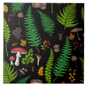Carreau La faune et la flore des bois
