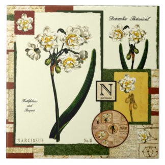Carreau La fleur de décembre